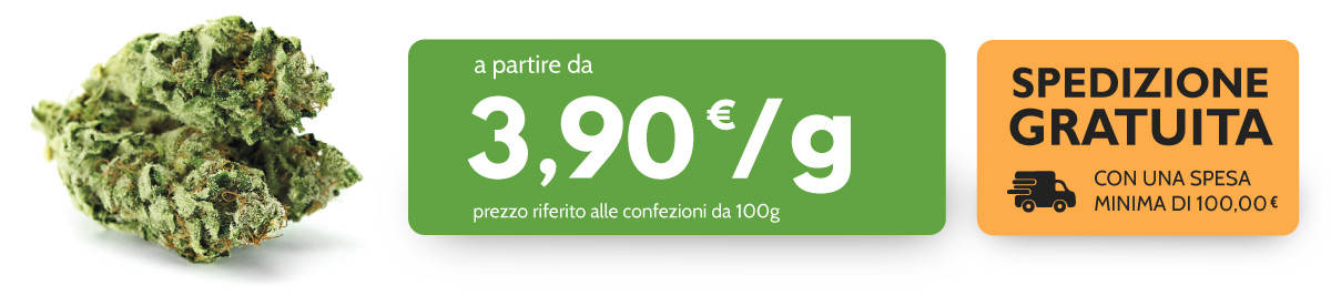 Everweed da 3,90/g