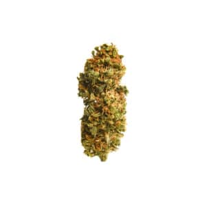 Infiorescenza di Cannabis Legale con CBD - Varietà Lemon Conti Kush Everweed