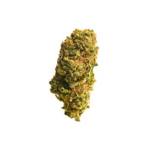 Infiorescenza di Cannabis Legale con CBD - Varietà Gorilla Glue Everweed