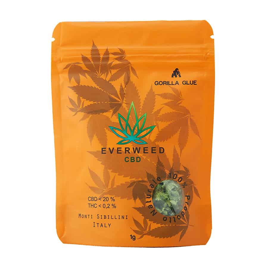 Cannabis Legale con CBD - Varietà Gorilla Glue Everweed