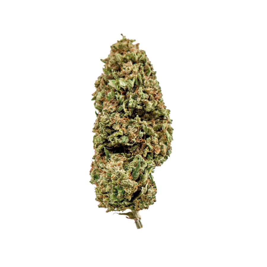 Cannabis Legale con CBD Amnesia Cookies Everweed