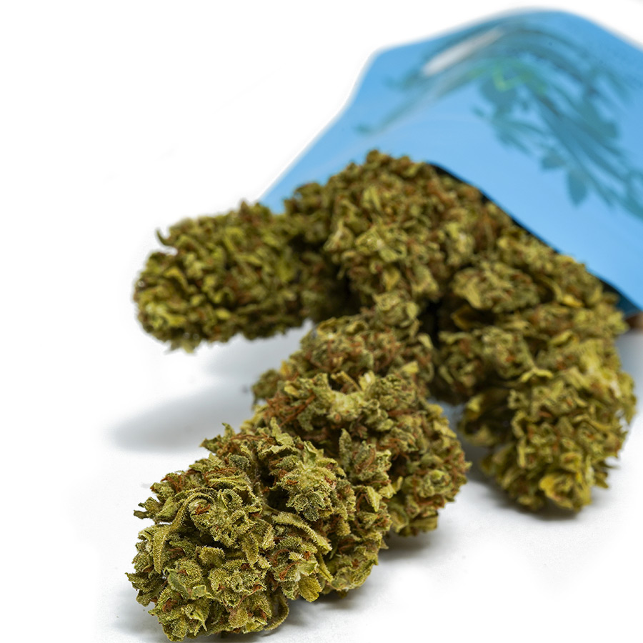 Cannabis Light CBD Everweed - White Shark