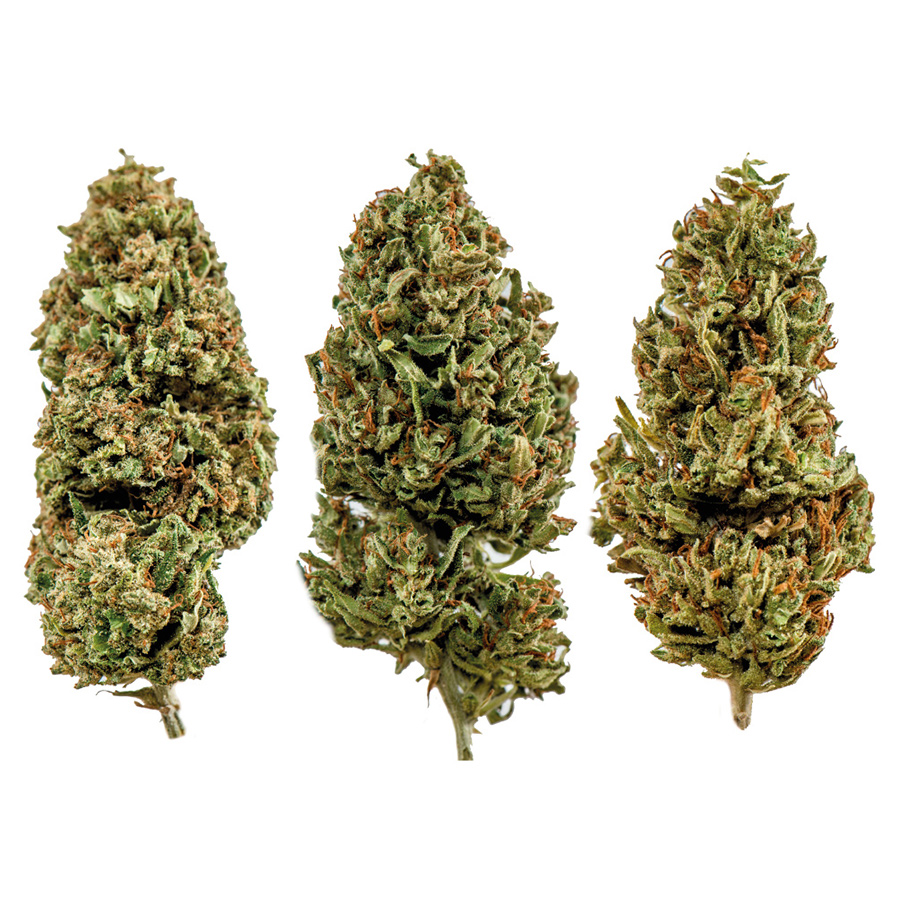 Cannabis Light Everweed - Kit Degustazione