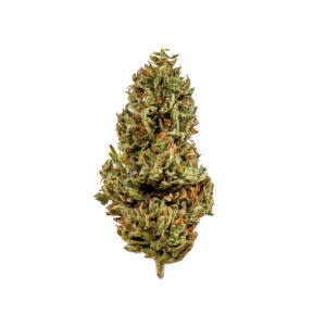 Cannabis Light CBD Everweed - Venom