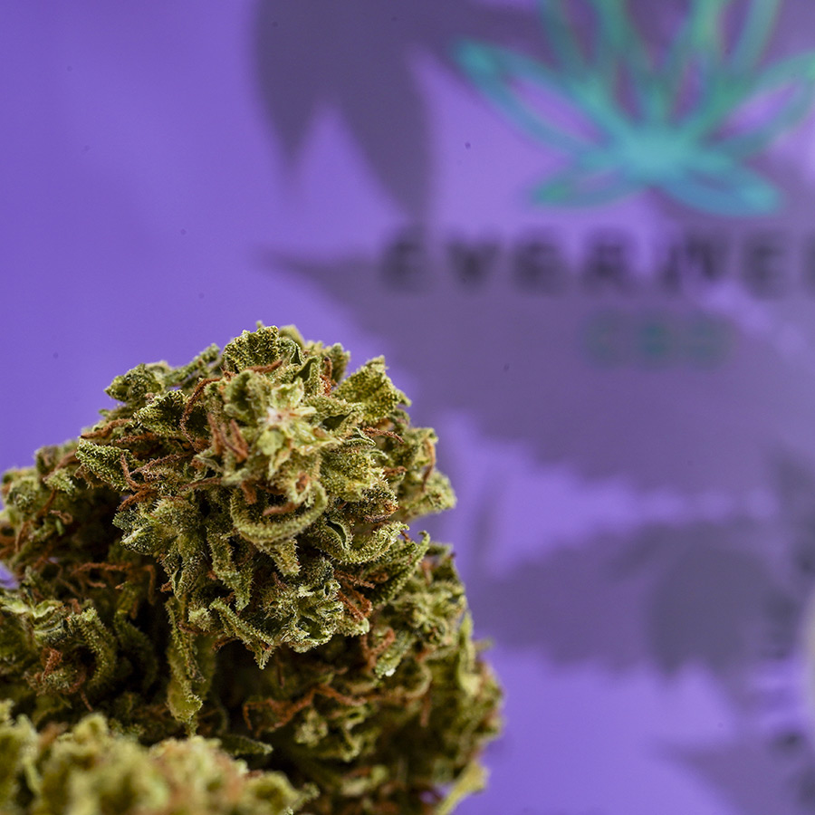 Cannabis Light CBD Everweed - Venom