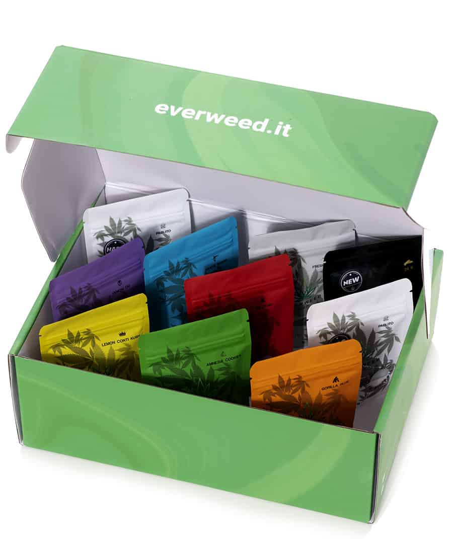 Box Cannabis Light Everweed