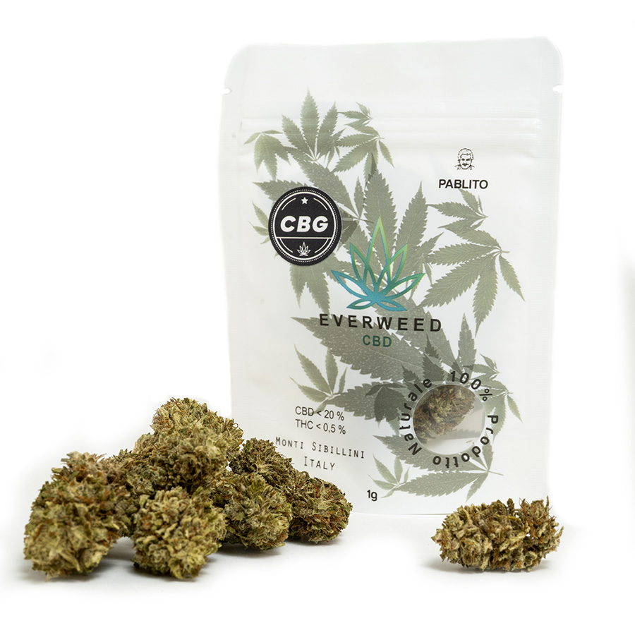 Cannabis Legale con CBG - Varietà Pablito Everweed
