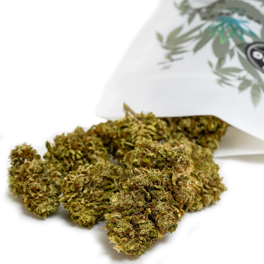 Cannabis Legale con CBG - Varietà Pablito Everweed