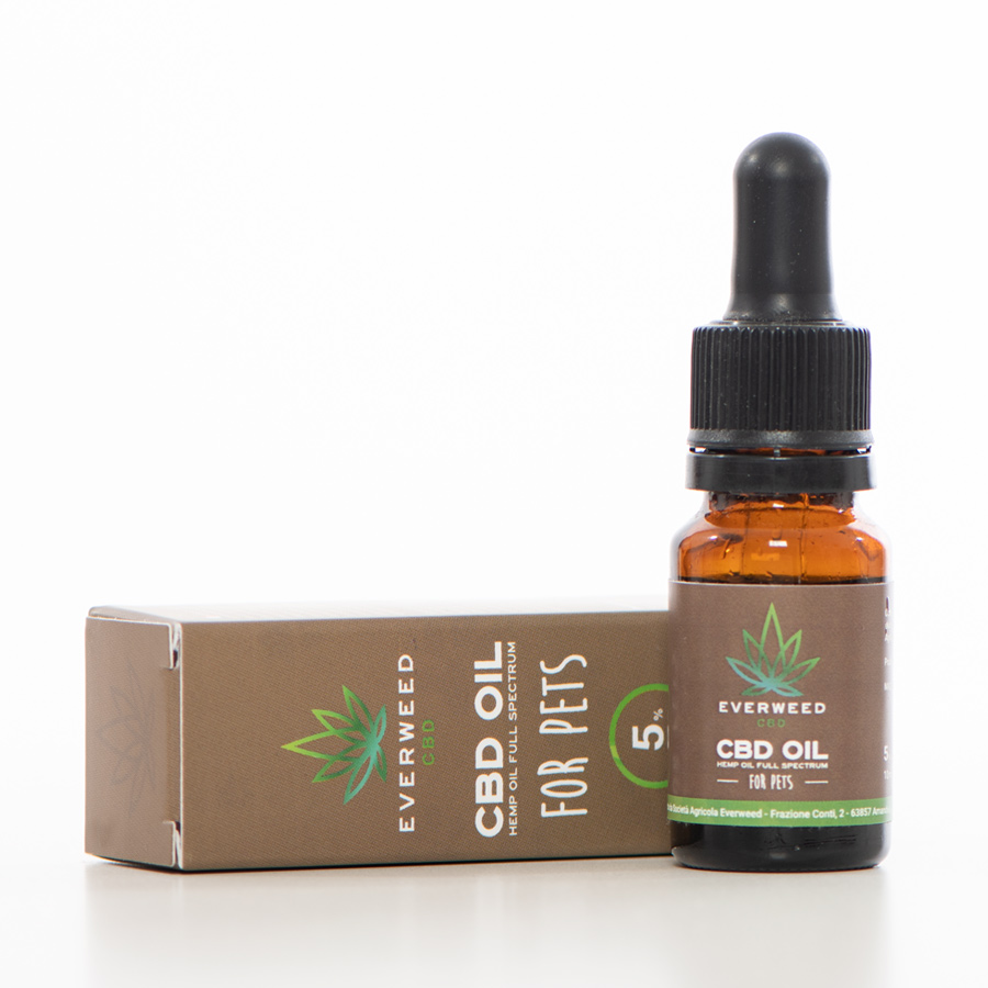 Olio CBD per cani e gatti