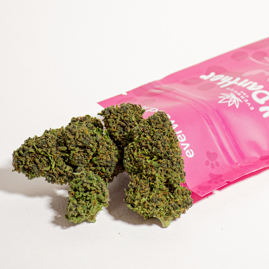 Fiori di Cannabis Legale Pink Panther